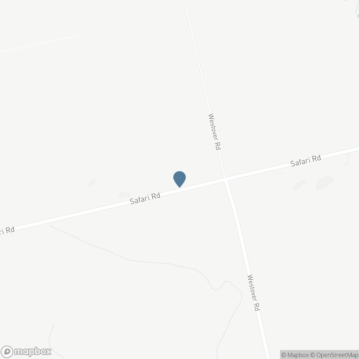 1399 SAFARI ROAD, Hamilton, Ontario L8B 1S6